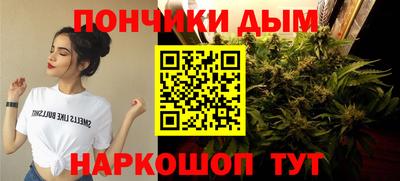 spice Пенза