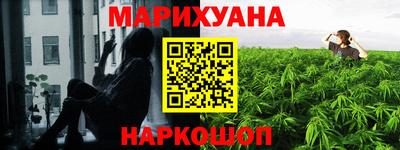 индика Партизанск
