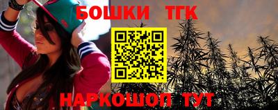 индика Партизанск
