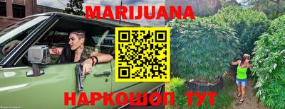индика Партизанск