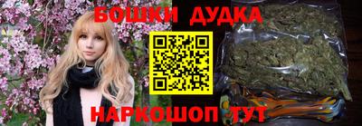 индика Партизанск
