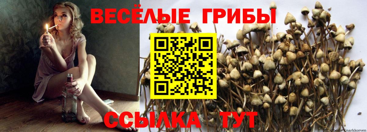 Псилоцибиновые грибы мухоморы  Вход с VPN  как найти закладки  Пыть-Ях 