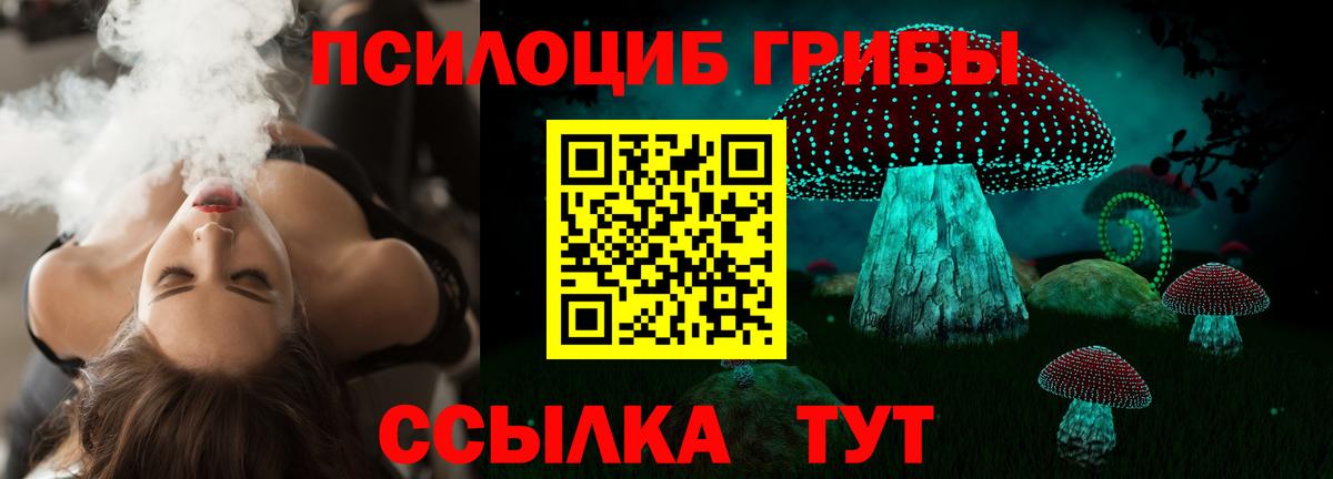 Галлюциногенные грибы Psilocybe Пыть-Ях